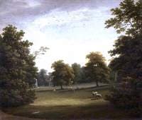 View in Mount Merrion Park