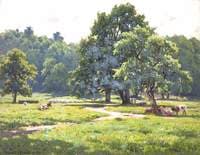 Grassyard Park, Caton