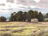 Haymaking, Twilight, Caton