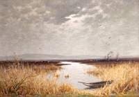 Marshland