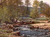 Springtime on the Wyre, Dolphinholme