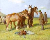 Cowhill Fair