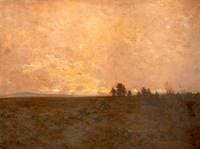 A Lonely Heath