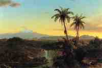 South American Landscape