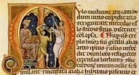 Miniature in Tractate of Mulomedicina
