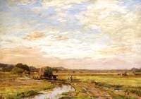 Sussex Hayfields