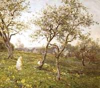 The Orchard