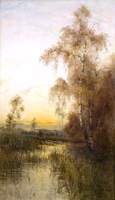 Silver Birches