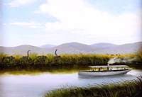 Elephant Shooting, Stanley Pool