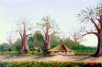 Kinshassa Station