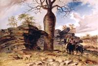 Figures Painted on Rocks and Carved on a Gouty Stem Tree