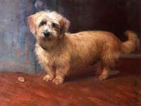 A Dandy Dinmont, Called ‘Scotty’, Monty Miller’s Dog