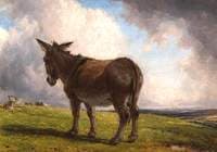 A Donkey in a Landscape