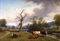 Landscape and Cattle near Offchurch, Warwickshire