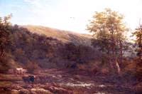 Landscape with River and Cattle