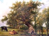 Old Oak, Stoneleigh Park, Warwickshire