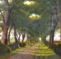 Avenue of Trees with Sheep on the Road