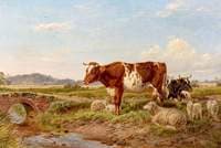 A Quiet Day in the Trent Valley