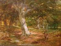 Forest Scene with Deer