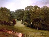In Welbeck Park, Nottinghamshire