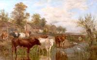 Lady Lea Farm