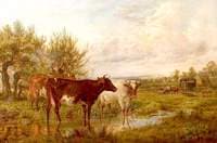 Landscape near Worksop Manor Park, Nottinghamshire