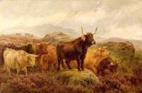 On the Scottish Moors
