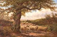 Sheep and Shepherd