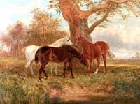 Study of Three Horses in a Landscape
