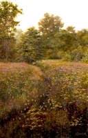 The Hidden Stream on Norton Common