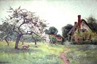 A Gloucestershire Orchard in the Spring
