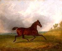 'Pacha', a Bay Horse Trotting in a Landscape