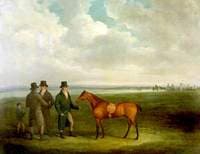 Racehorse with Trainers