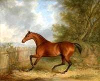 'Selim', the Marquess of Londonderry's Bay Hunter in a Landscape