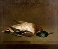 Still Life with a Mallard