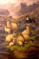 Highland Landscape with Sheepdog and Sheep