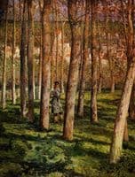 The Forest