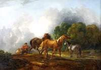 Catching Colts