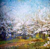 Apple Trees in Bloom