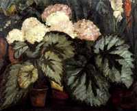 Still Life with Begonias