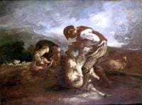 Sheep Shearing