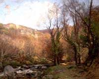 Dewerstone, Shaugh