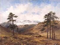Near Balmoral