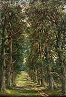 Woodland Scene
