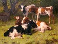 Calves