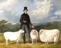 Valentine Barford, with His Purebred Sheep