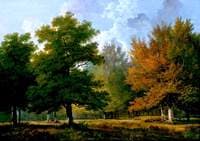 Landscape, Woodland Scene