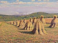 Haystacks