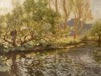 A Sun-Dappled Pool