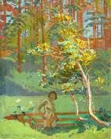 Pool in the Wood